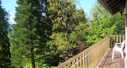 Acogedor chalet en una colina en el bosque cerca de Willingen