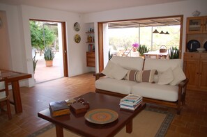 Smart TV, fireplace, DVD player, books