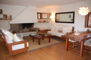 Smart TV, fireplace, DVD player, books