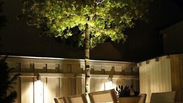 An outdoor patio area with a dining table and chairs, surrounded by a wooden fence and a tree providing shade.