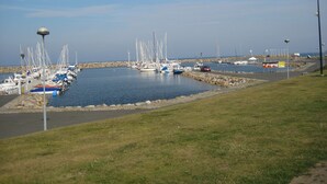 A marina with boats docked, a grassy area, and a clear sky.