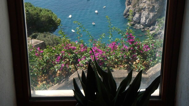 Vista costera con barcos en el agua, un acantilado rocoso y flores rosadas en primer plano.