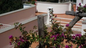 Terraza en la azotea con barandilla blanca, un poste de madera y flores de buganvilla.