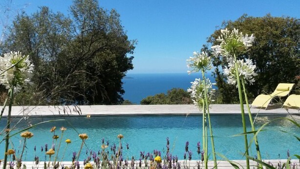 A pool with a view of the ocean, surrounded by trees and yellow lounge chairs. - Exceptional house in quiet magnificent view (Olmeto)