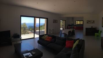 Télévision, cheminée, livres