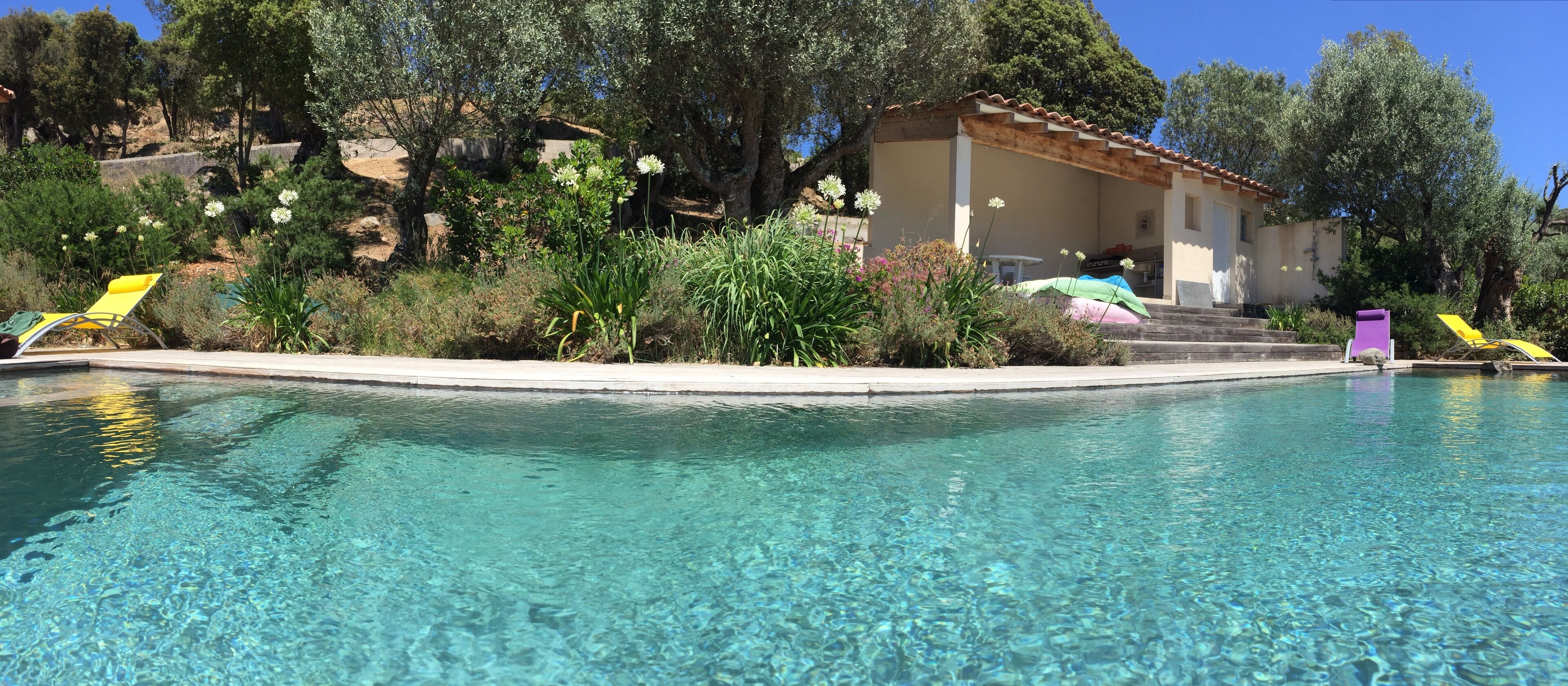 A clear swimming pool with a patio area, surrounded by lush greenery and a building with a tiled roof.