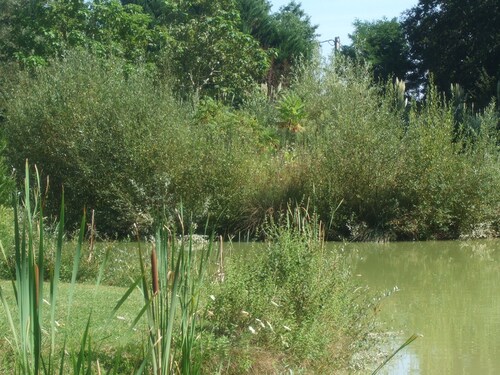 Smallwater Lake Lodge, family & pet friendly with wheelchair access