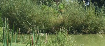 Smallwater Lake Lodge, gezins- en huisdiervriendelijk met rolstoeltoegankelijk