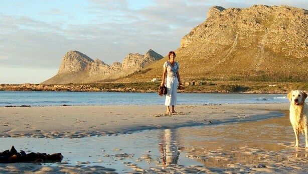 A beach with a person and a dog, rocky hills in the background, and a clear sky. - Luxurious self-catering cottage sleeping up to 4 adults (Cape Town)