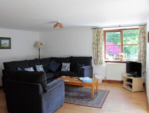 Televisión, reproductor de DVD, libros y videoteca 