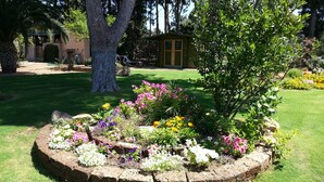 A garden with a brick border, various flowers, and a tree. - Villa Gilda, with last minute swimming pool t 03 - 21 September !!! (Pula)