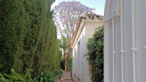 A narrow pathway flanked by lush greenery and a white gate, leading to a building with a tiled roof.