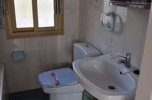 Bathtub, hair dryer, bidet, towels