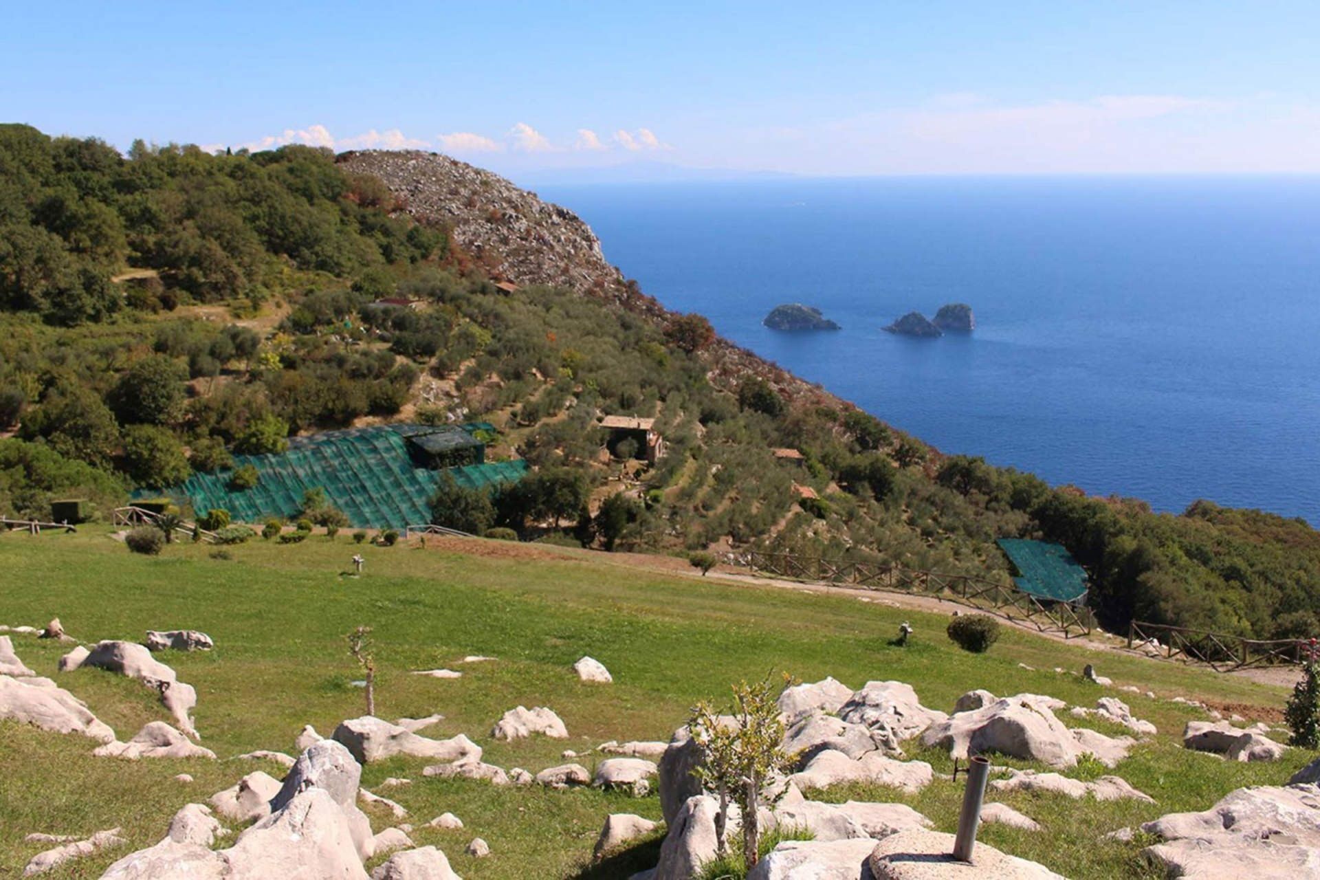 Un paysage côtier caractérisé par un terrain rocheux, des champs verdoyants et une vue sur la mer.