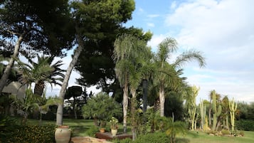 Parco della struttura