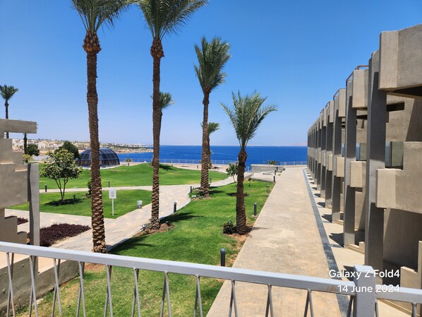 A balcony with a view of the sea, palm trees, and a modern building with geometric design.