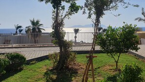 Un patio con vista al mar, palmeras y un camino pavimentado.