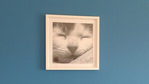 Quadro com o rosto de um gato numa parede azul, estrutura de cama de metal branca e almofada branca sobre a cama.