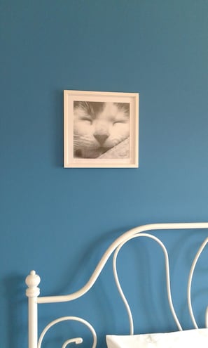 Une photo encadrée représentant le visage d’un chat, accrochée à un mur bleu, un cadre de lit en métal blanc et un oreiller blanc sur le lit.