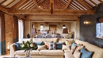 Televisio, takka, DVD-soitin, pöytätennispöytä