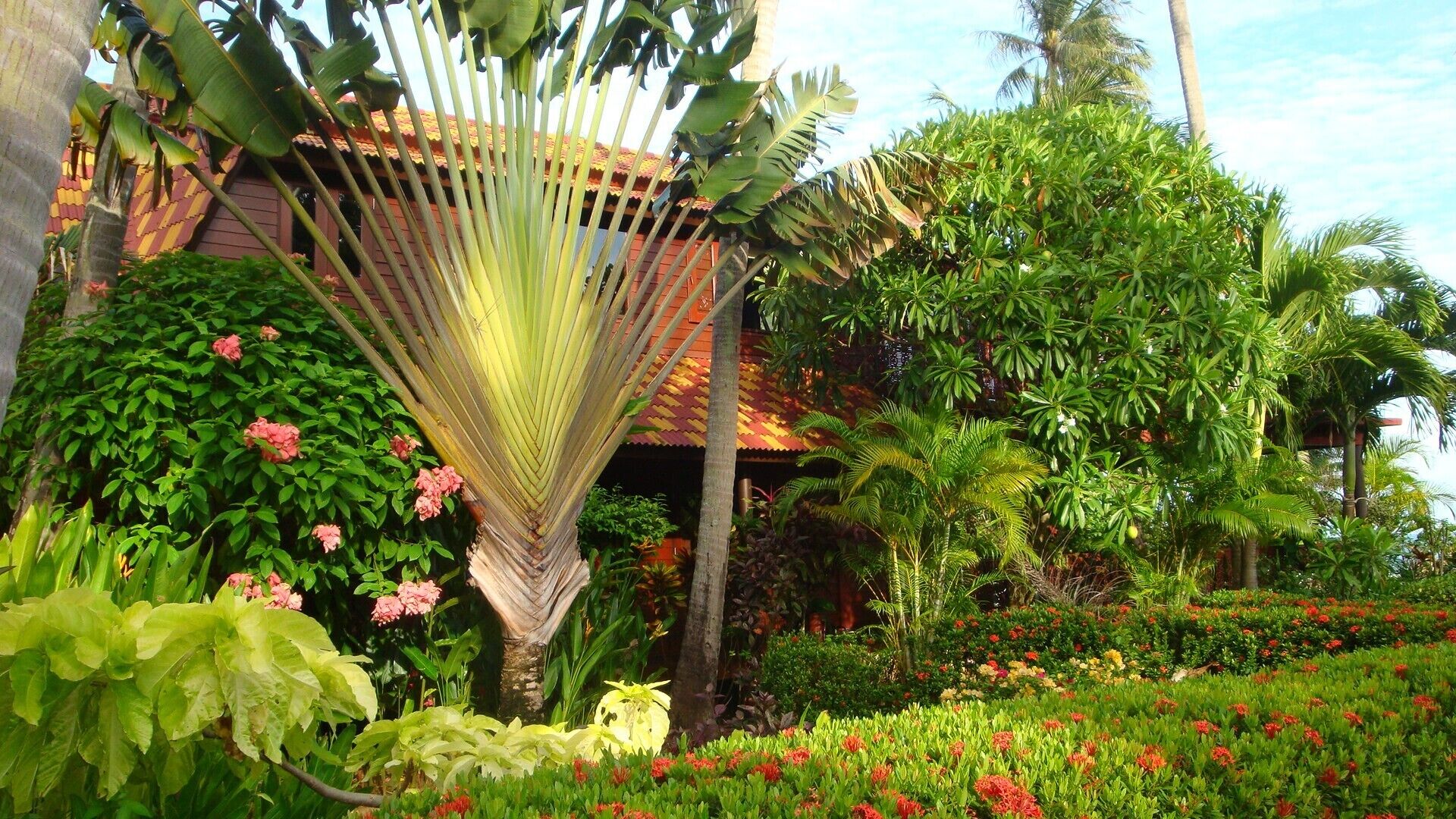 Un jardin luxuriant, avec une grande variété de plantes et de fleurs, un hamac et un bâtiment doté d’un toit rouge.