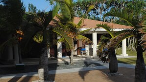 A covered outdoor area with palm trees, a tiled floor, and a building with a tiled roof.