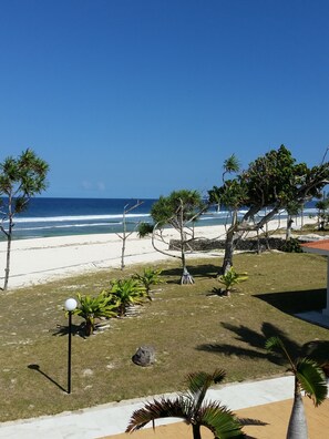 Vista de una playa con palmeras y cielo despejado.
