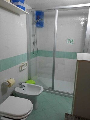 Shower, hair dryer, bidet, towels