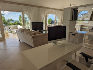 Smart TV, DVD player, books, video library