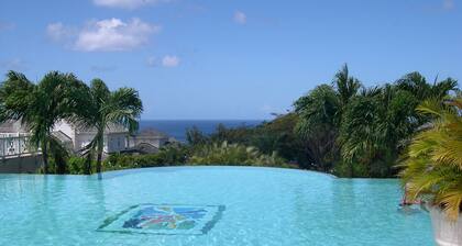 A Luxurious Place To Chill Out In Barbados