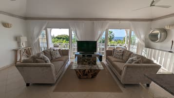 Smart TV, DVD player, books, video library