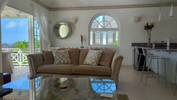 Smart TV, DVD player, books, video library