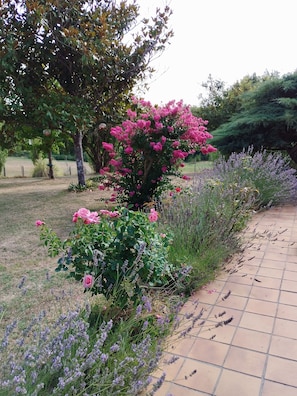 Jardines del alojamiento