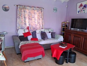 Télévision, lecteur de DVD, livres, chaîne hi-fi