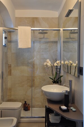 Douche, sèche-cheveux, bidet, serviettes fournies
