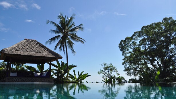 A poolside area with a thatched-roof structure, palm trees, and a large tree in the background. - Exclusive 5 star villa with 365 ° view of the sea, mountains and rice fields! (Kayu Putih)