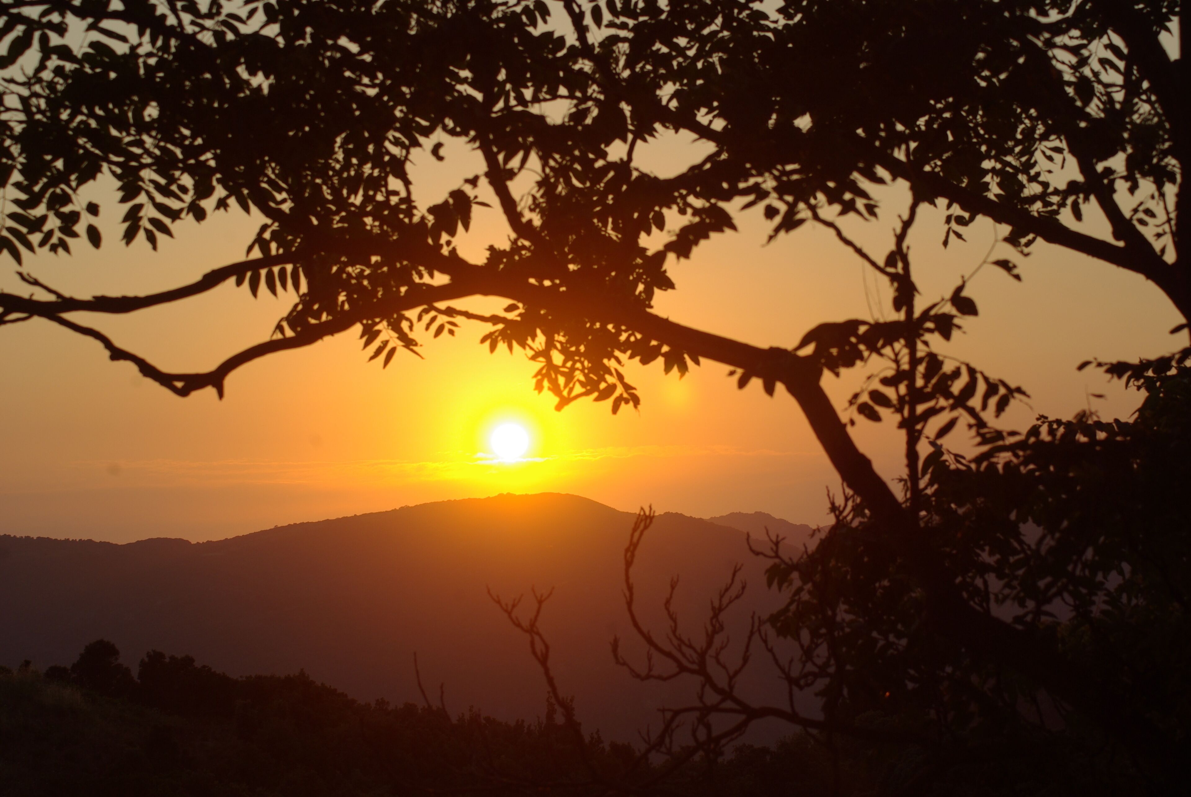 Un coucher de soleil où le soleil se trouve derrière des collines et des arbres, créant un effet de silhouette.