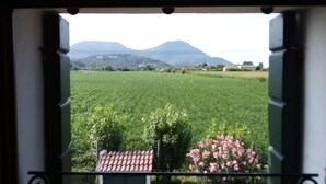 A view through a window with a balcony, featuring a green field, a pink flowering bush, and distant mountains. - Casale Gelsomino First floor (ROVOLON)