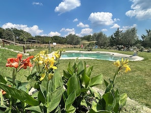 Property grounds - Villa San.Ansanino -Private Pool 2-7 persons (Civitella Paganico)