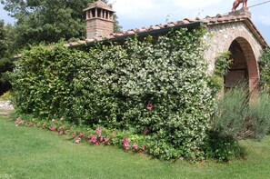 Traditional stone building with an arched doorway, surrounded by lush greenery.