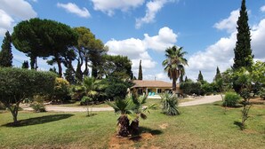 A house surrounded by a well-maintained garden with various trees and shrubs.