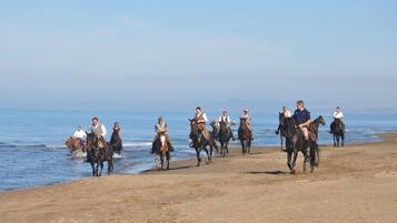 ビーチの近く、サンラウンジャー