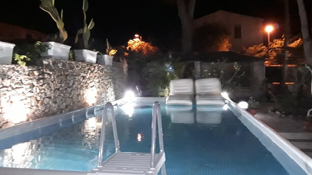 Una piscina con un muro de piedra y plantas a un lado, y un edificio con luces al fondo.