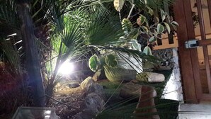 Un jardín con una variedad de plantas, entre ellas palmeras y una formación rocosa.