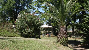 Parco della struttura