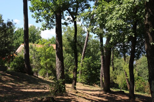 Newly built villa immersed in the oak, pine and strawberry tree woods