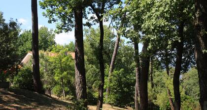 Newly built villa immersed in the oak, pine and strawberry tree woods