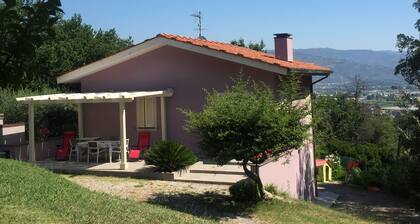 Neu erbaute Villa inmitten von Eichen-, Kiefern- und Erdbeerbäumen