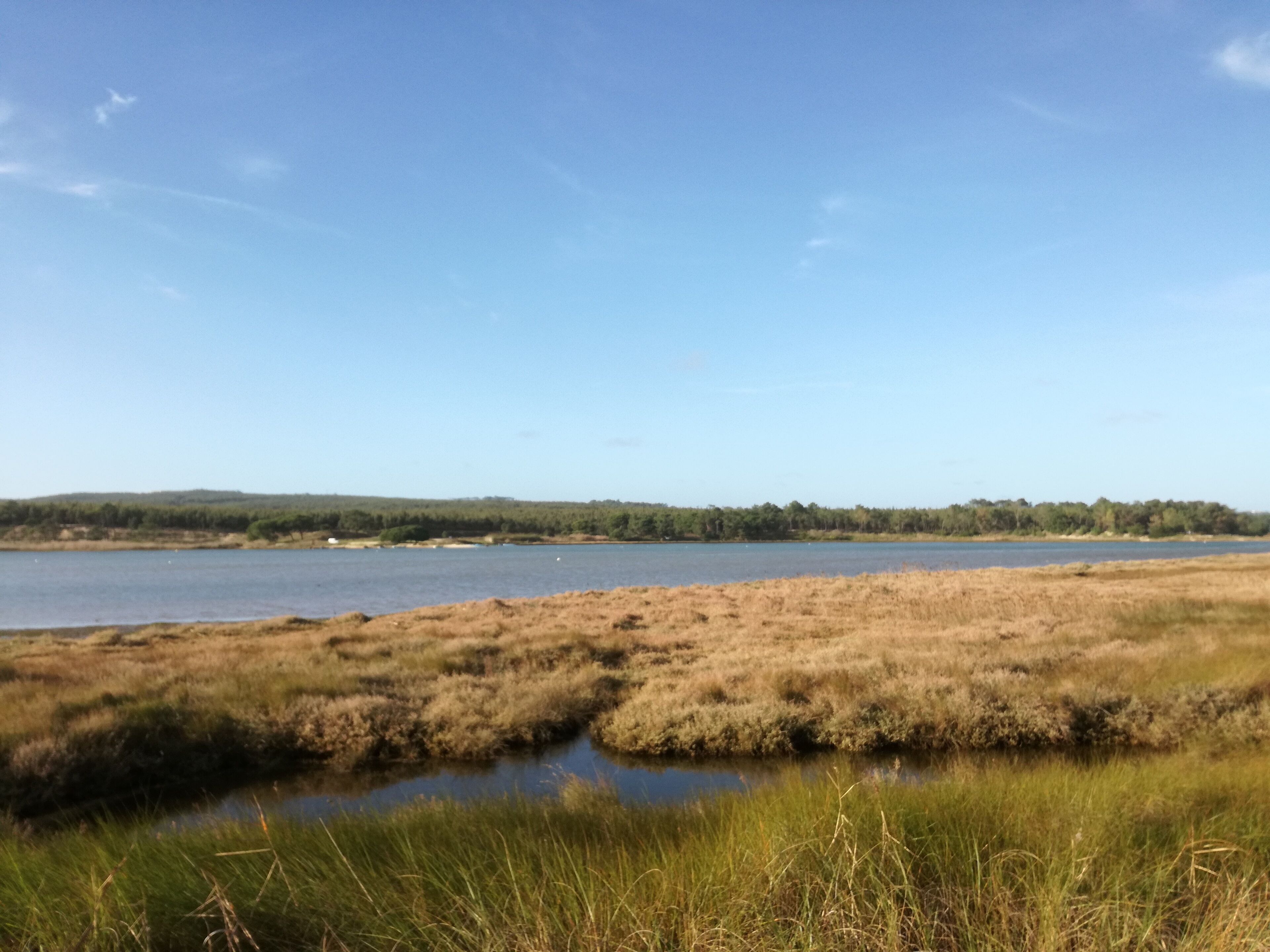 A natural landscape with a body of water, grassy areas, and a distant tree line.