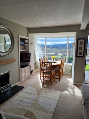 Älytelevisio, takka, DVD-soitin, kirjoja